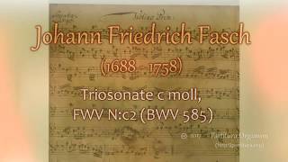 Johann Friedrich Fasch Triosonate c moll FWV Nc2 BWV 585 [upl. by Ennaehr]