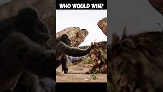 gorilla vs lion real fight 😱 [upl. by Chadwick469]