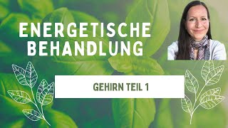 Das Gehirn Teil 1 energetisch behandeln [upl. by Ynes]