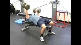 1 Arm Dumbbell Bench Press w Iso Hold [upl. by Yrellam838]