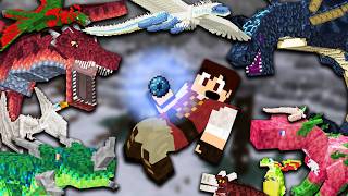 LOOK AT ALL THESE DRAGONS THE WYRMROOST MOD 1161 MINECRAFT MOD SHOWCASE [upl. by Leissam651]