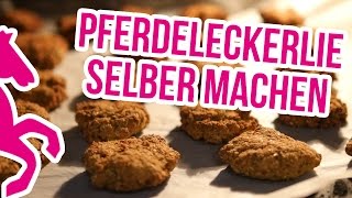 DIY Pferdeleckerlie selber backen  Rezept  Anleitung [upl. by Bowerman]