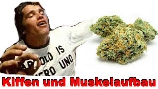 Kiffen und Muskelaufbau  Einfluss von THC im Cannabis auf die Muskeln [upl. by Llenyaj]