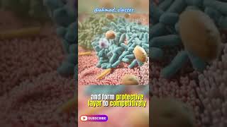 What is villi Villi of intestine [upl. by Yrahcaz]