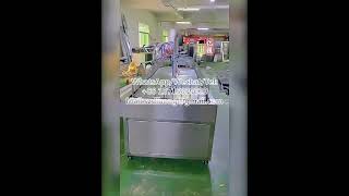 Silicone coating and baking automatic spray painting line [upl. by Aihsi700]