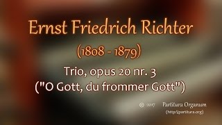 Ernst Friedrich Richter Trio quotO Gott du frommer Gottquot op 20 nr 3 [upl. by Laius]