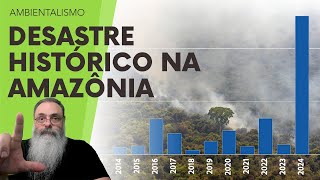 ÍNDICE de DEVASTAÇÃO da AMAZÔNIA atinge RECORD HISTÓRICO em 2024 com DESCASO e HIPOCRISIA de LULA [upl. by Ase]