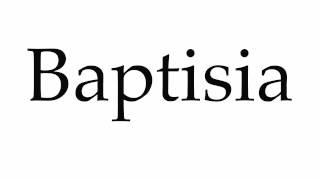 How to Pronounce Baptisia [upl. by Durkee]