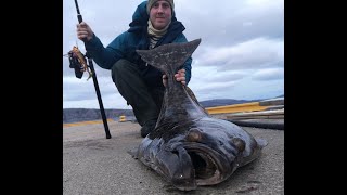 Shore Fishing halibut 32kg Visual take lurefishing [upl. by Lower]