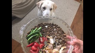 Freezer Meals for a Dog Easy Homemade Dog Food [upl. by Aisyla]