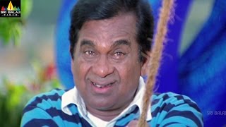 Brahmanandam Comedy Scenes Back to Back  Vol 3  Non Stop Telugu Comedy  Sri Balaji Video [upl. by Devonne641]