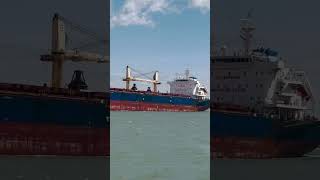 The bulk carrier vessel foryou shortvideo youtubeshorts viralvideo vlog ship [upl. by Lahcym562]