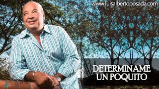 Luis Alberto Posada  Determiname Un Poquito Audio Oficial [upl. by Janeen]