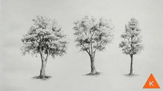 Easy tree sketch step by step [upl. by Atwekk]