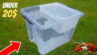 DIY CRAYFISH BREEDINGNURSERY TANK  EASY ≥20 SETUP [upl. by Nyltac]