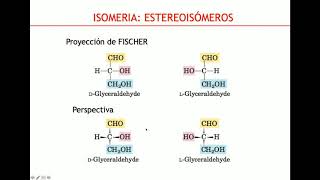 Glúcidos y Lípidos  Biología Celular y Tisular [upl. by Narag879]