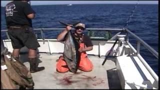 60 LB THE BIGGEST ALBACORE ON YOU TUBE [upl. by Hillery162]