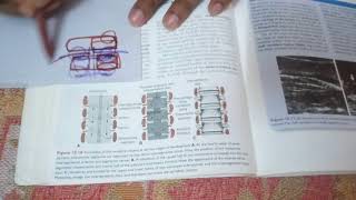 its made easy vertebral coloumn development from special embryology [upl. by Drawyeh503]