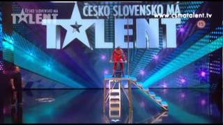 Denisa Navrátilová  Česko Slovensko má talent [upl. by Mall]