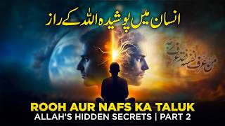 Insaan Allah ka Raaz Hai  Rooh aur Nafs ka taluk  Self vs Soul [upl. by Hancock427]