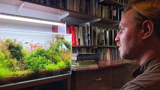 Fish Habitat Expert Reveals Beautiful Aquascape and Aquarium Books [upl. by Llieno863]