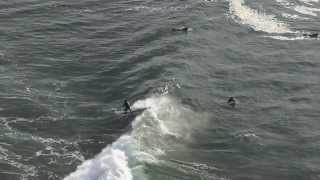 Surfs Up at Pacific City [upl. by Ayardna701]