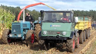 HANOMAG BRILLANT 700 mit Mengele MaisBlitz MB350 Turbo Maishäcksler  MAISERNTE  MAISHÄCKSELN 2024 [upl. by Bocoj]