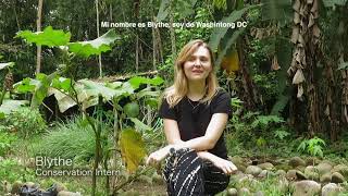 quotThe Biogarden Projectquot by Matilda French [upl. by Adrien]