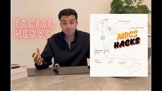 Facial Nerve  The 7th Cranial Nerve VII  MRCS Hacks [upl. by Attenreb]