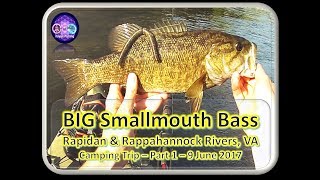 BIG Smallmouth Bass Rapidan and Rappahannock Rivers Part 1 [upl. by Lohcin251]