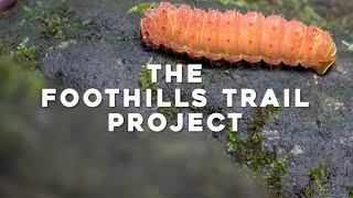 The Foothills Trail Project  Documentary Film [upl. by Nicolau101]