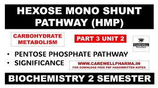 HMP Shunt Pathway  Part 3 Unit 2  biochemistry b pharm 2nd semester  Carewell Pharma [upl. by Eikin]