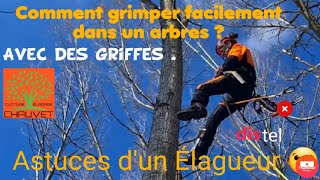 💪COMMENT GRIMPER🌲 FACILEMENT DANS UN ARBRE À LAIDE DE GRIFFESCONSEILS ET ASTUCES DUN ÉLAGUEUR [upl. by Chanda]