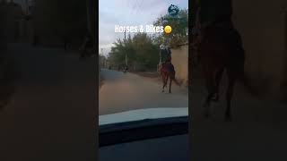 No cars on these streets Kapisa Afghanistan [upl. by Goran]