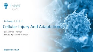 Cellular Injury And Adaptation P2  Pathology [upl. by Allred168]