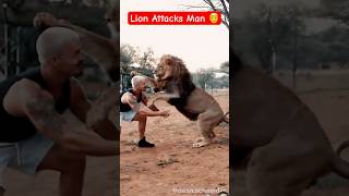 Man Attacked Man 👨  Lion Vs Man lion tiger animals wildlife lionencounter lions lionslover [upl. by Innob201]