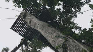 Un hotel burbuja a 45 metros de altura en Costa Rica [upl. by Nanyt]