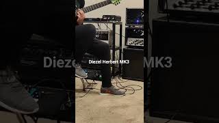 Diezel Herbert MK3 and 7 string [upl. by Curtis449]