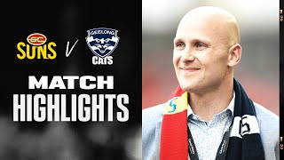 Gold Coast Suns v Geelong Cats Highlights  Round 22 2022  AFL [upl. by Imaon563]