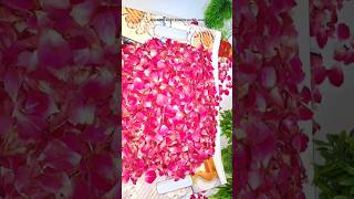 Very UsefulRose petals 🥀homemade rosepetals remedies ytshorts trending viralshorts [upl. by Eentroc334]