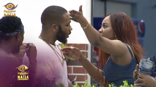 Day 49 Erica loses it  Big Brother Lockdown  Africa Magic [upl. by Henryk]