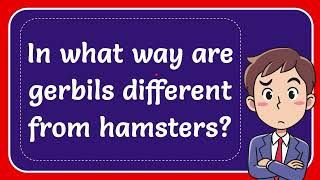 In what way are gerbils different from hamsters [upl. by Marguerite34]