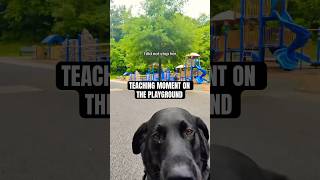 Service dog gets corrected in public dogsofyoutube jerandjess [upl. by Pentheas840]