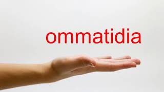 How to Pronounce ommatidia  American English [upl. by Fia703]