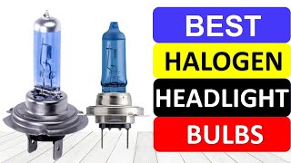 Top 10 Best Halogen Headlight Bulbs in 2022 [upl. by Yssirhc]