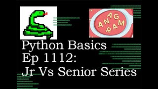 Python Basics Tutorial Solving Valid Anagram  Jr Vs Sr Series [upl. by Ailemrac]