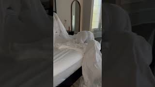 i think this room is haunted…😳 viral funny comedy [upl. by Nairod]