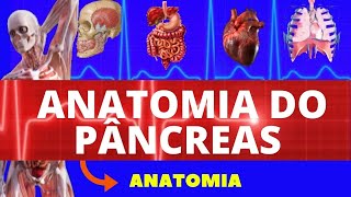 ANATOMIA DO PÂNCREAS ANATOMIA HUMANA  SISTEMA DIGESTÓRIO E SISTEMA ENDÓCRINO  ANATOMIA [upl. by Nwahsat]