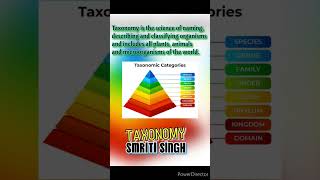 Taxonomy Define Taxonomy Definition of Taxonomy what is Taxonomy [upl. by Peddada]