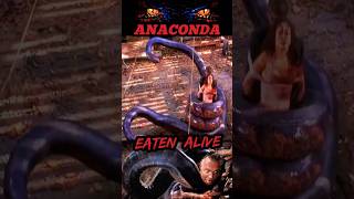 Anaconda Movie Clip  Anaconda Attack shorts viral [upl. by Eecart747]